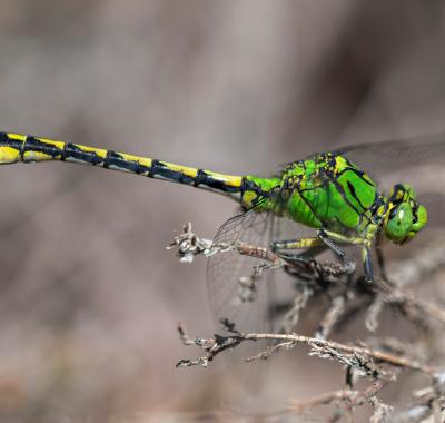 Connaître pour mieux protéger : l'essentiel en 3 minutes !