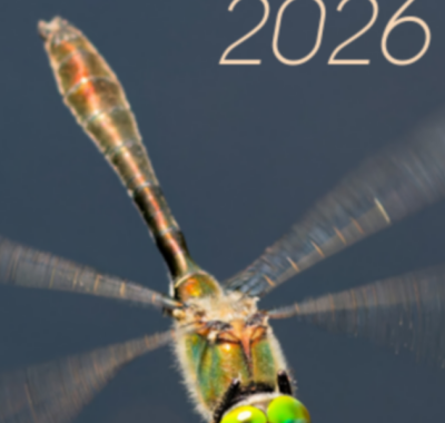 L'édition 2026 des stages en Brenne est lancée par le CPIE