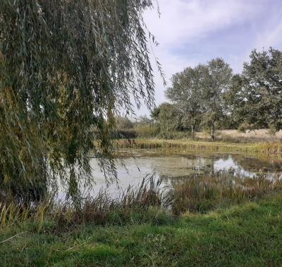 Forum Solutions fondées sur la Nature 2022 | Life ARTISAN