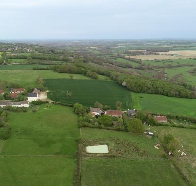 Les bénéfices de la biodiversité face au changement climatique