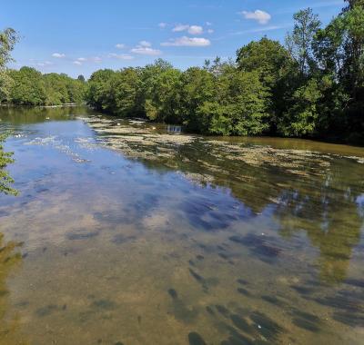 Informer et sensibiliser - enjeux et aides | Agence de l'eau Loire Bretagne