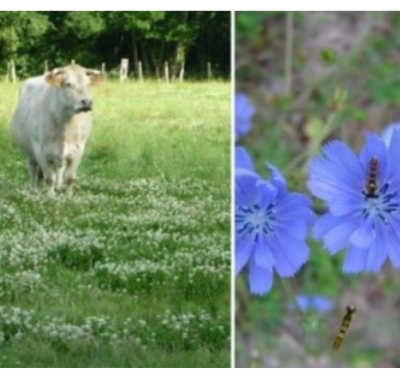 Journée CASDAR - Agriculture et Biodiversité