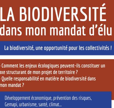 La biodiversité dans mon mandat d'élu·e | Intercommunalités de France