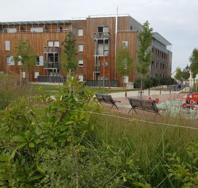 Comment réintroduire la nature en ville pour l'adaptation au changement climatique? 