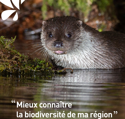 Échange-Live "30 minutes sur la biodiv' en région"