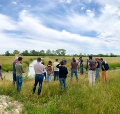Approches écosystémiques de gestion des Espèces Exotiques Envahissantes | Centre de Ressource Loire Nature