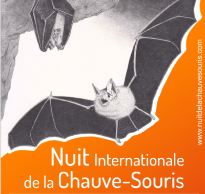 Nuit internationale de la Chauve-souris