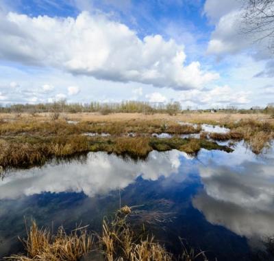 Présentation de l'Appel à Projets Eau et Biodiversité | AESN