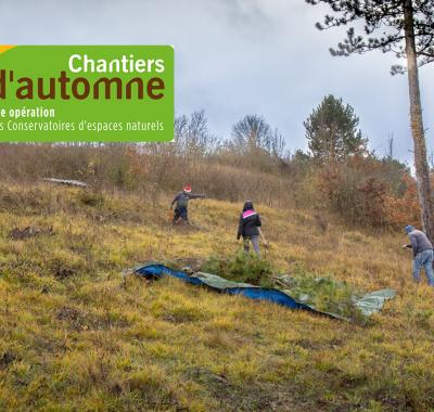 Les Chantiers d'automne, agissez sur le terrain pour la biodiversité ! | Conservatoire d'espaces naturels Centre-Val de Loire