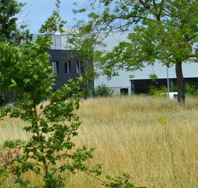 Grande soirée autour de la biodiversité en entreprise | Biodiversio