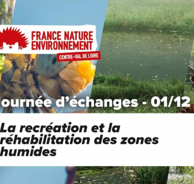 La restauration et la réhabilitation des zones humides | FNE Centre-Val de Loire
