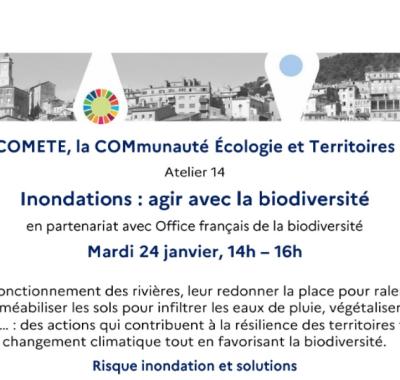 [Webinaire] « Inondations : agir avec la biodiversité » -Réseau COMETE 