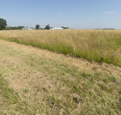 Prendre en compte la biodiversité dans les aéroports et aérodromes | ANDBB et Aérobiodiversité