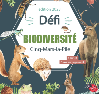 Défi citoyen pour la biodiversité à Cinq-Mars-la-Pile (37) - Journée d'inventaires naturalistes