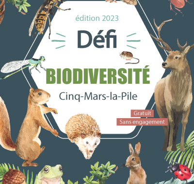 Défi citoyen pour la biodiversité à Cinq-Mars-la-Pile (37) - Découverte des espèces rares et/ou patrimoniales