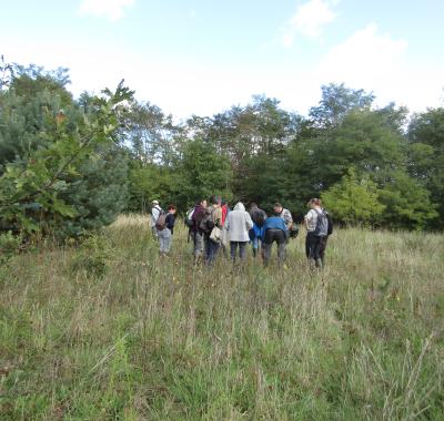 Sortie botanique à Marmoutier (37)