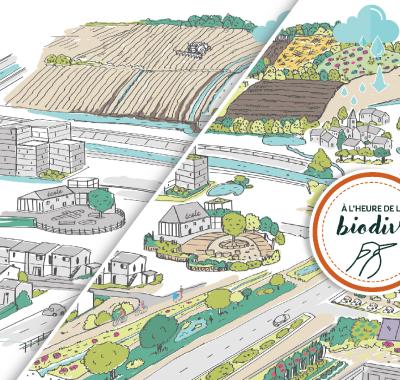 [À l'heure de la biodiv' !] Végétalisation 3/3 : comment construire un projet de végétalisation ?