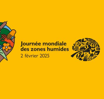 [Mois des zones humides 2025] Animations en région