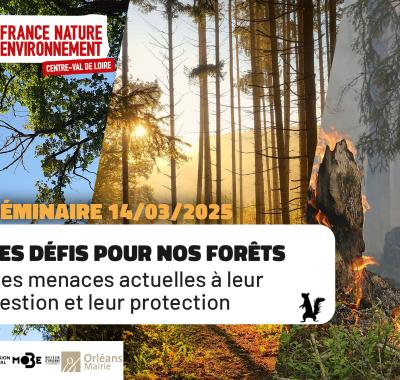 Les défis pour nos forêts, des menaces actuelles à leur gestion et leur protection | FNE Centre-Val de Loire