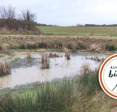 [À l'heure de la biodiv' !] Parcours de l'eau 2/4 : Contrer le ruissellement en milieu rural