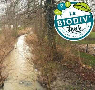 // COMPLÈTE // Biodiv'tour : visite autour de la gestion de l'eau dans la ville à Boigny-sur-Bionne (45)