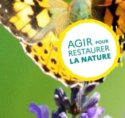 Règlement Restauration de la Nature : les milieux aquatiques