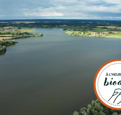 [À l'heure de la biodiv' !] Parcours ABC-IBC 3/4 : De la connaissance à la protection du patrimoine naturel