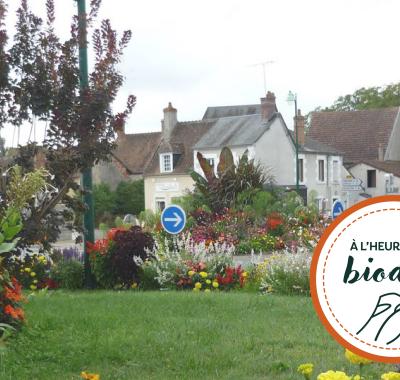 [À l'heure de la biodiv' !] Parcours ABC-IBC 4/4 : Faire vivre les plans d'action