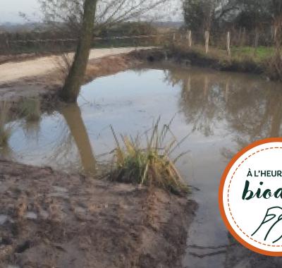 [À l'heure de la biodiv' !] Parcours ABC-IBC 4/4 : Faire vivre les plans d'action