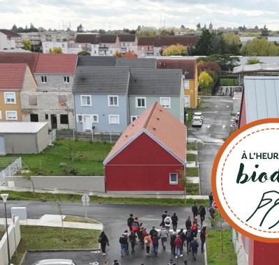 [À l'heure de la biodiv' !] Parcours Mobiliser les entreprises 1/4 : Biodiversité et entreprises, comprendre les liens pour agir