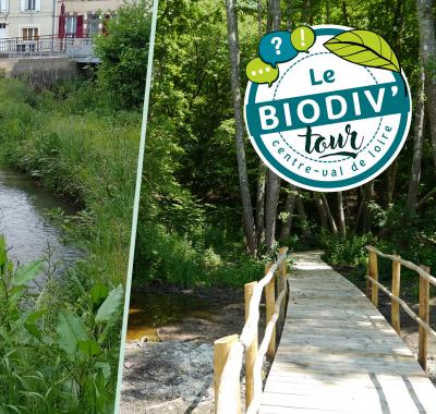 Cycle réduction du risque inondation - visite à Saint-Martin d'Auxigny (18)