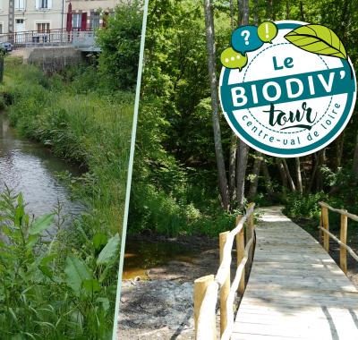 Cycle réduction du risque inondation - visite à Boigny-sur-Bionne (45)