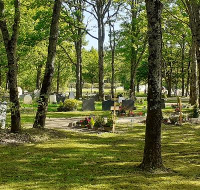 Végétaliser mon cimetière