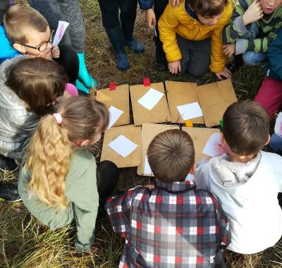 Monter un projet biodiversité dans ma classe