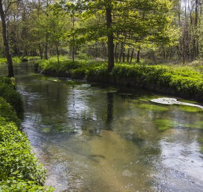 Lutter contre les déchets plastiques depuis les terres