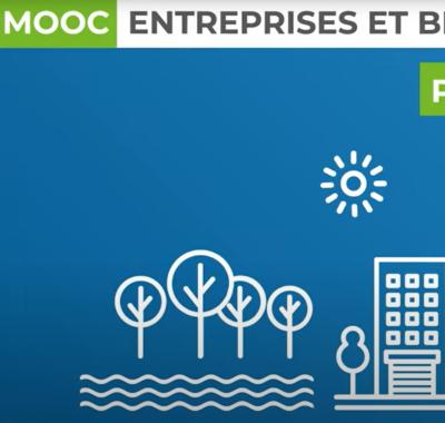 Suivre le MOOC Entreprises et biodiversité !