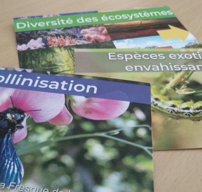 Participer à une des Fresques en lien avec la biodiversité