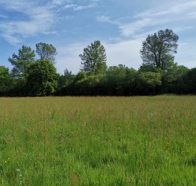 Planter des haies sur mon exploitation 