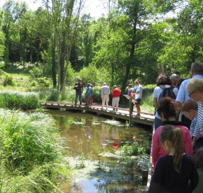 Proposer une animation pour "Naturellement dehors !"