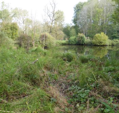 Protéger la biodiversité chez soi avec un contrat d'Obligations Réelles Environnementales (ORE)