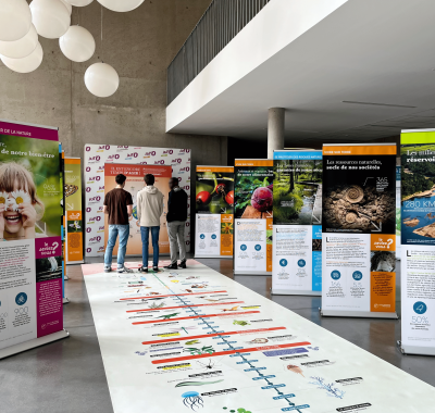 Emprunter l'exposition "La biodiversité et nous"