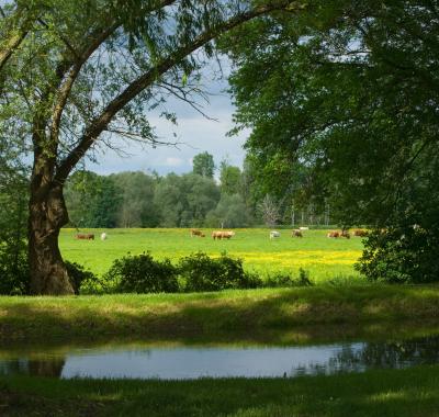 Biodiversité et agriculture