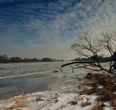 Les rendez-vous nature de l'hiver