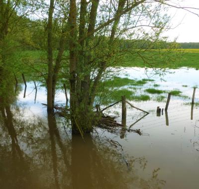 Des solutions pour réduire les risques inondations