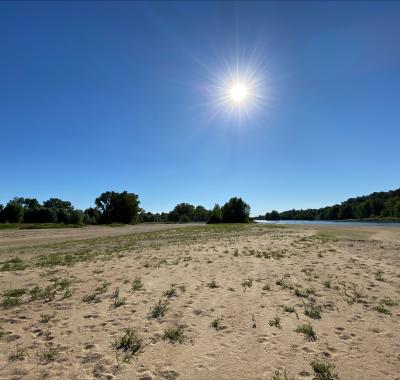 Les changements climatiques