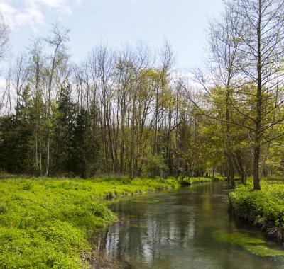 Indicateur | Continuité écologique des milieux aquatiques 