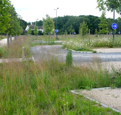 Indicateur | Consommation d'espaces naturels, agricoles et forestiers