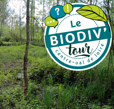 Restauration d'une rivière et d'une zone humide à Mesland