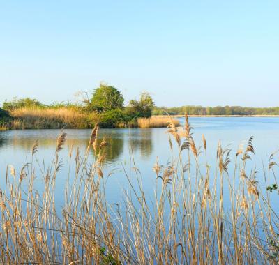 Indicateur | Suivi des aires protégées