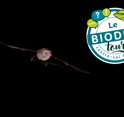 Éclairage et biodiversité à Valaire